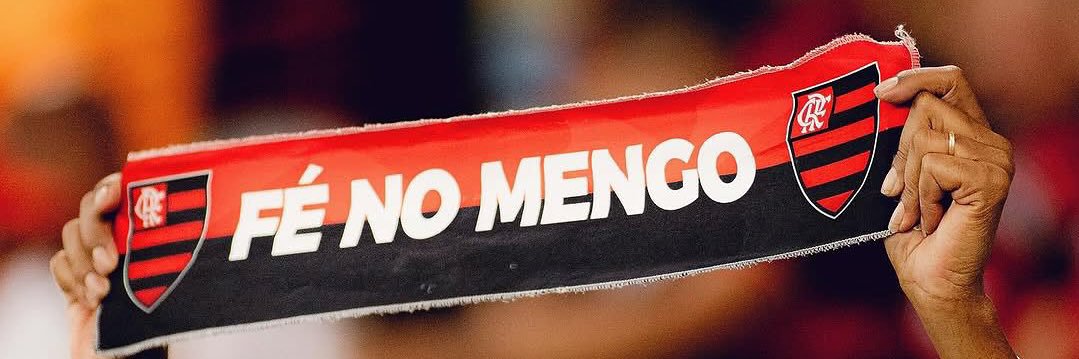 advogada da ana paula. banner