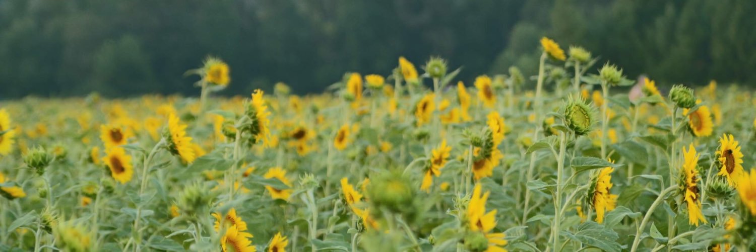cheyvarner's profile banner image