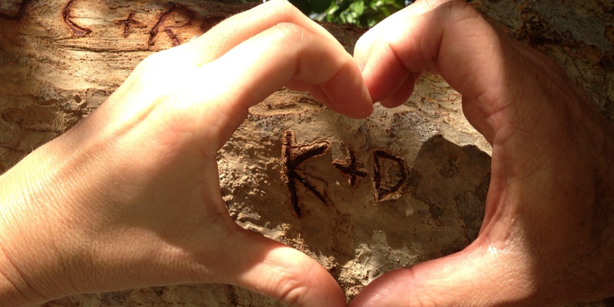 WilderKim's profile banner image