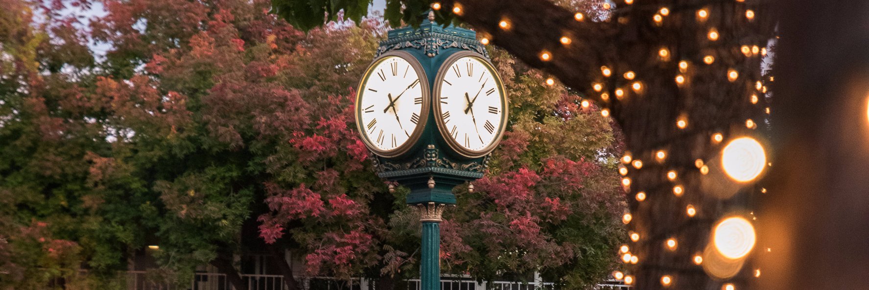 DTLosAltos's profile banner image