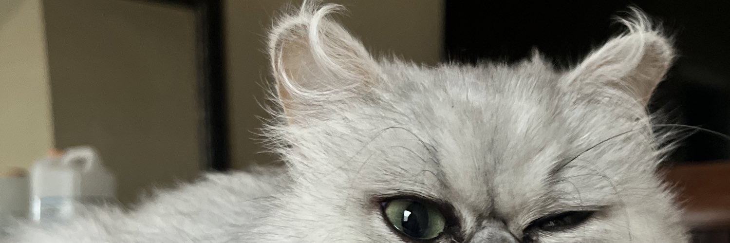 lexasmash's profile banner image