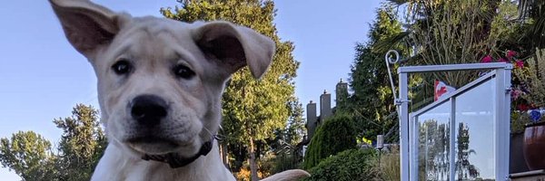 Coreyracing Profile Banner