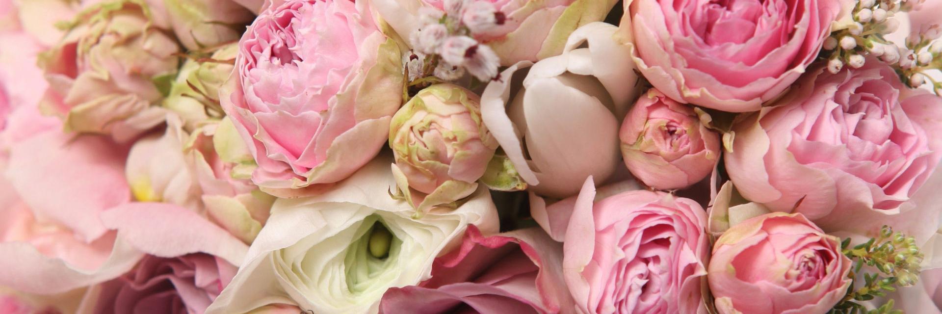 Bee_Stewart's profile banner image