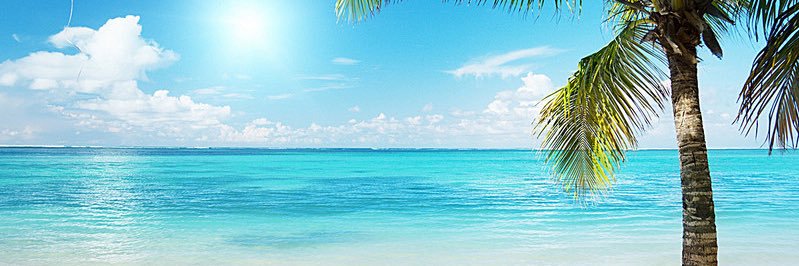 Corrinne Delorme banner