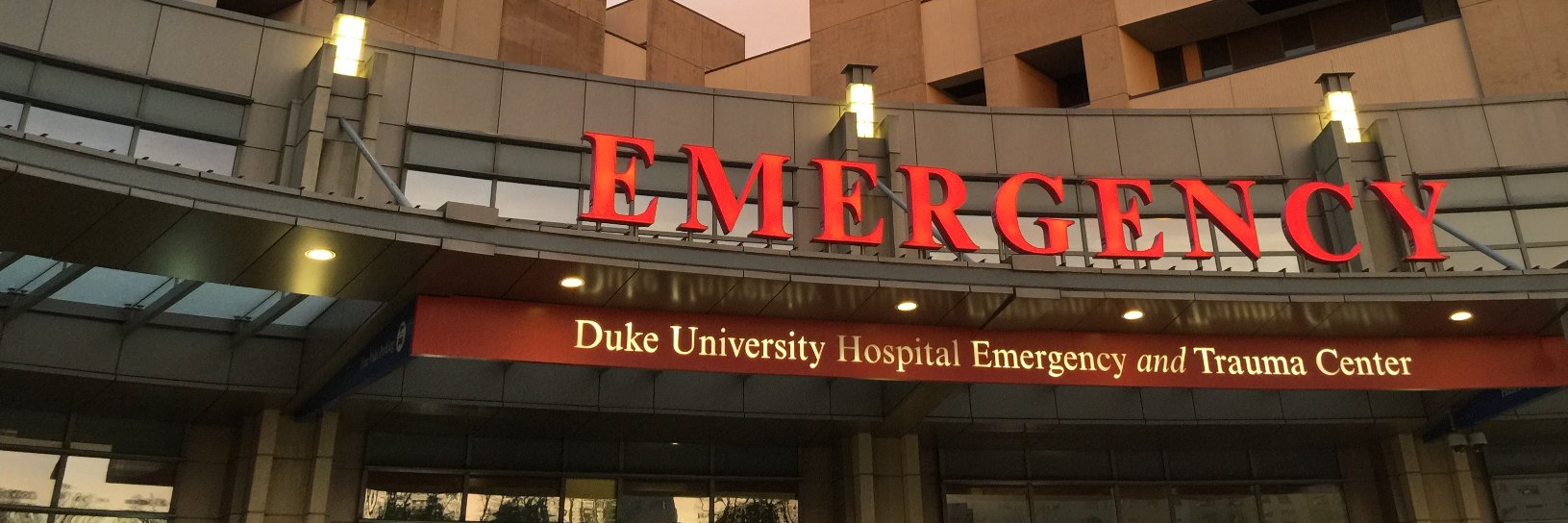 Lauren Siewny, MD, MSQM banner