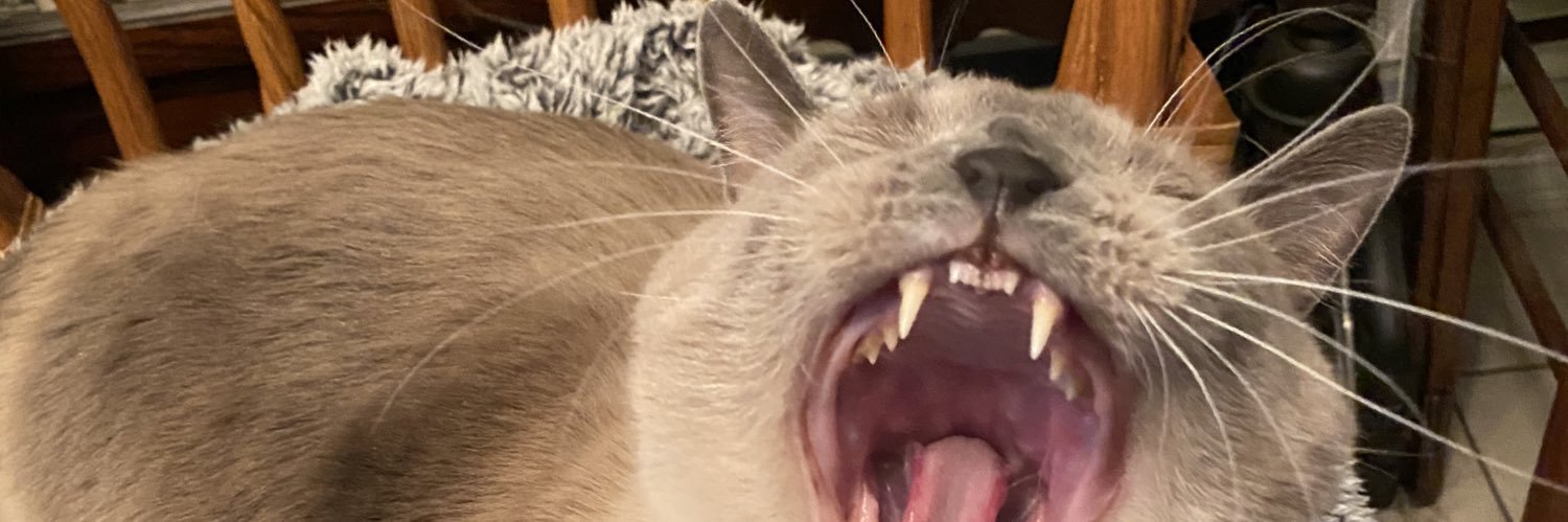 thefirstkatt's profile banner image