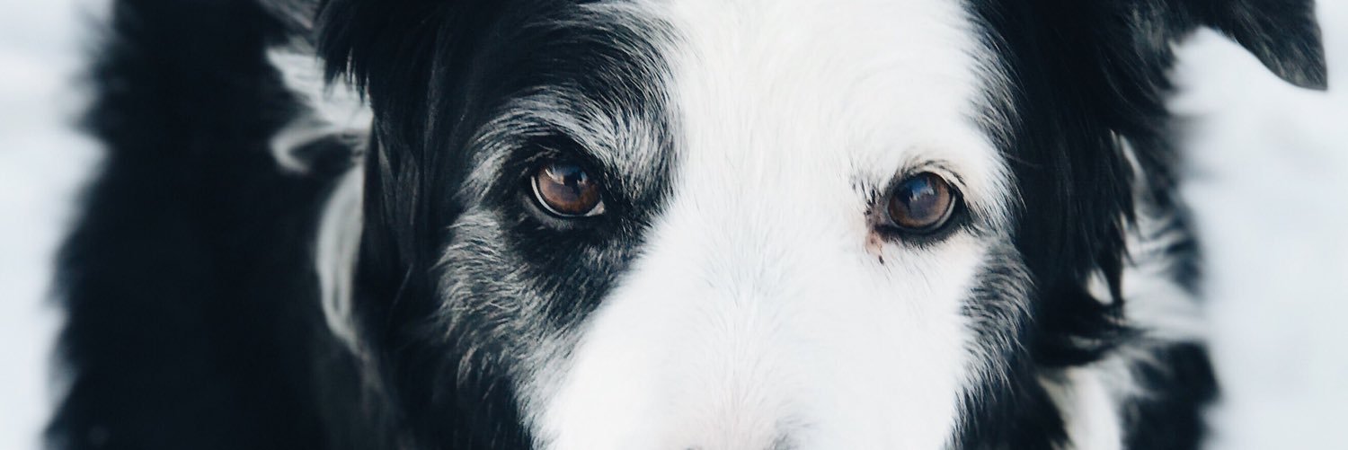 bethyb8's profile banner image