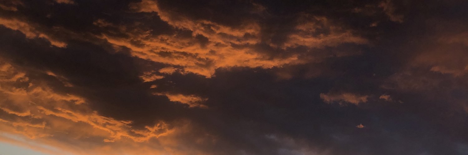 bichopues's profile banner image