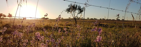 APHendry Profile Banner