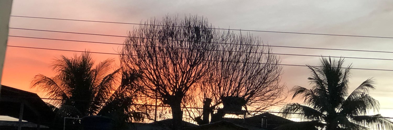 tlpdl_'s profile banner image
