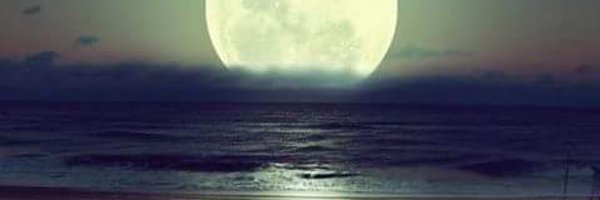 Sapyn_cs Profile Banner