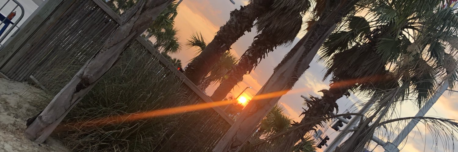 HayleePace's profile banner image