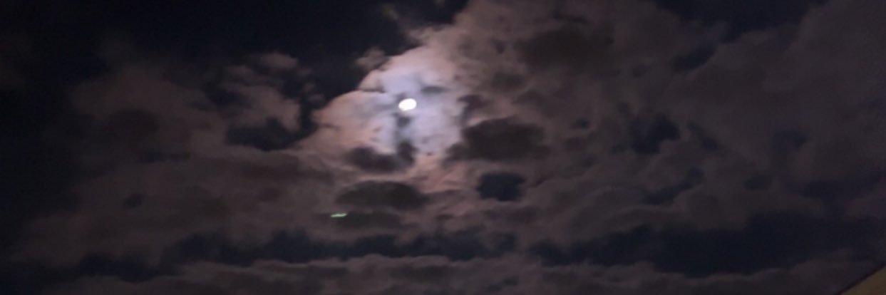 tylerxxca's profile banner image