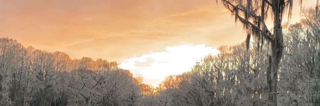 Cdarb60's profile banner image