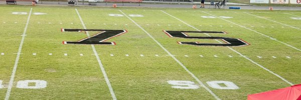 PCVikingsFan Profile Banner