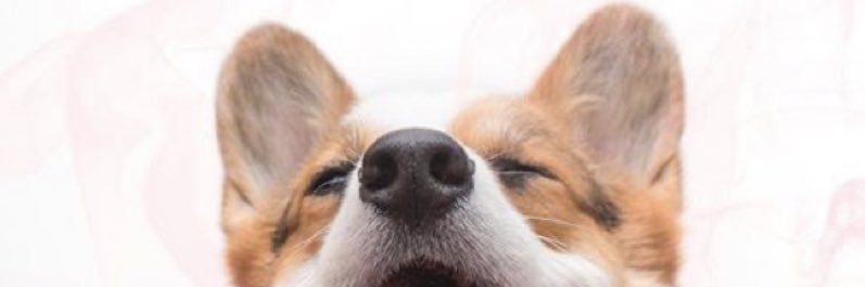 Heiddss's profile banner image