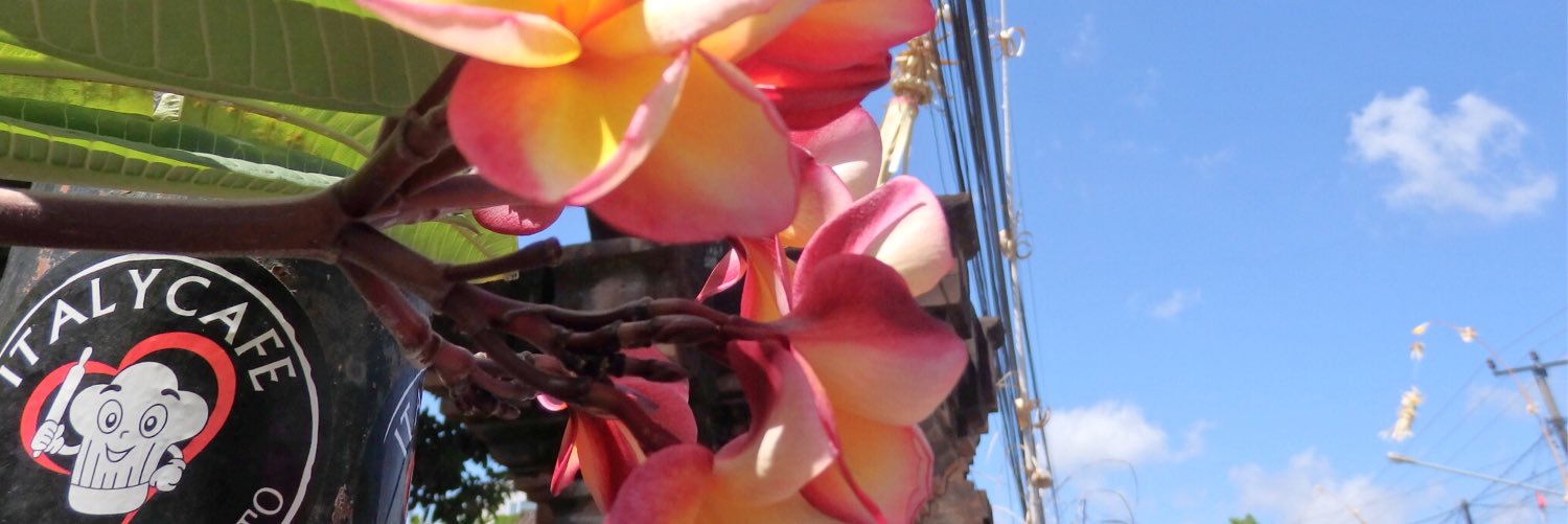 rukarukashan's profile banner image