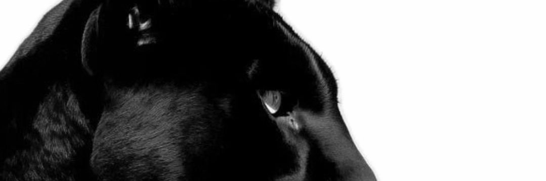 DevisVale's profile banner image