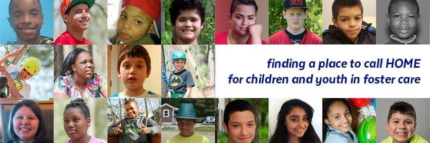 The Adoption Option Project banner