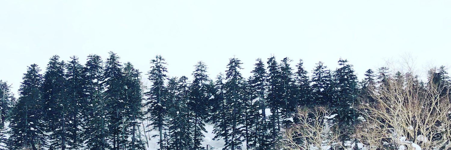 Phoebeibt's profile banner image