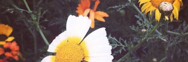 477_yasser's profile banner image