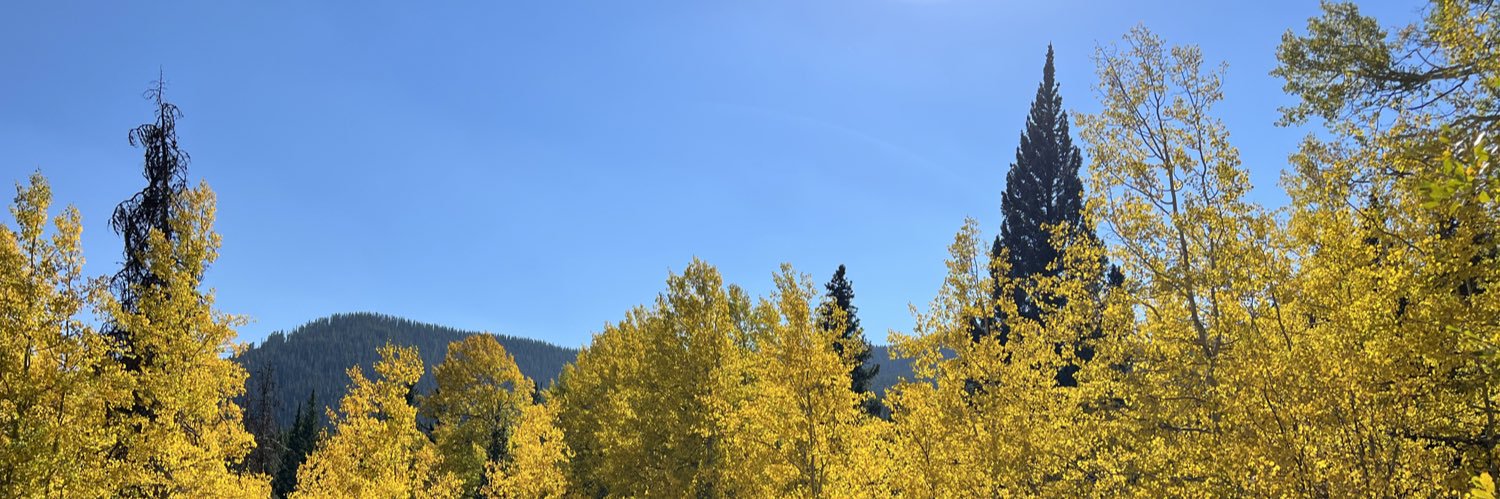 mmurphh's profile banner image