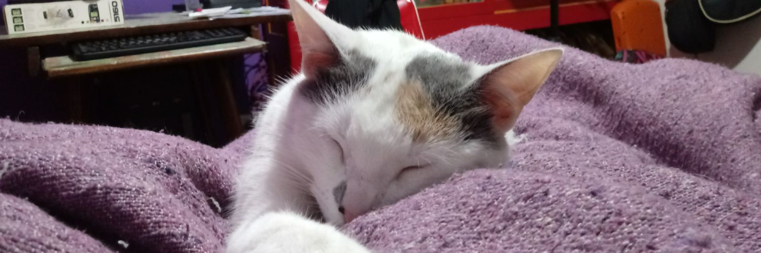 DescalzaCamina 🎶 banner