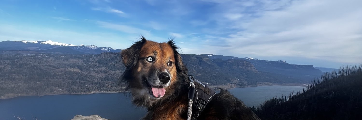 sopha_chillin's profile banner image