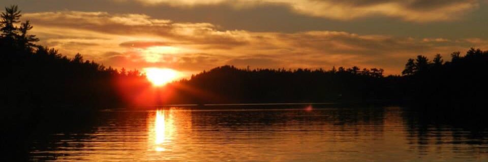 srobb8's profile banner image