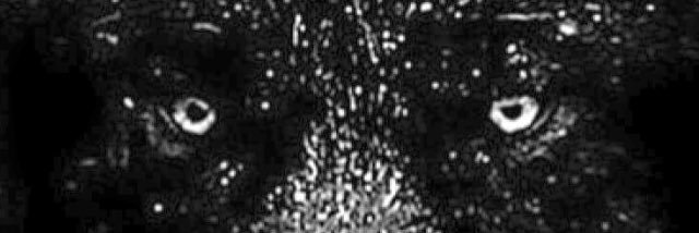 nharmsy's profile banner image