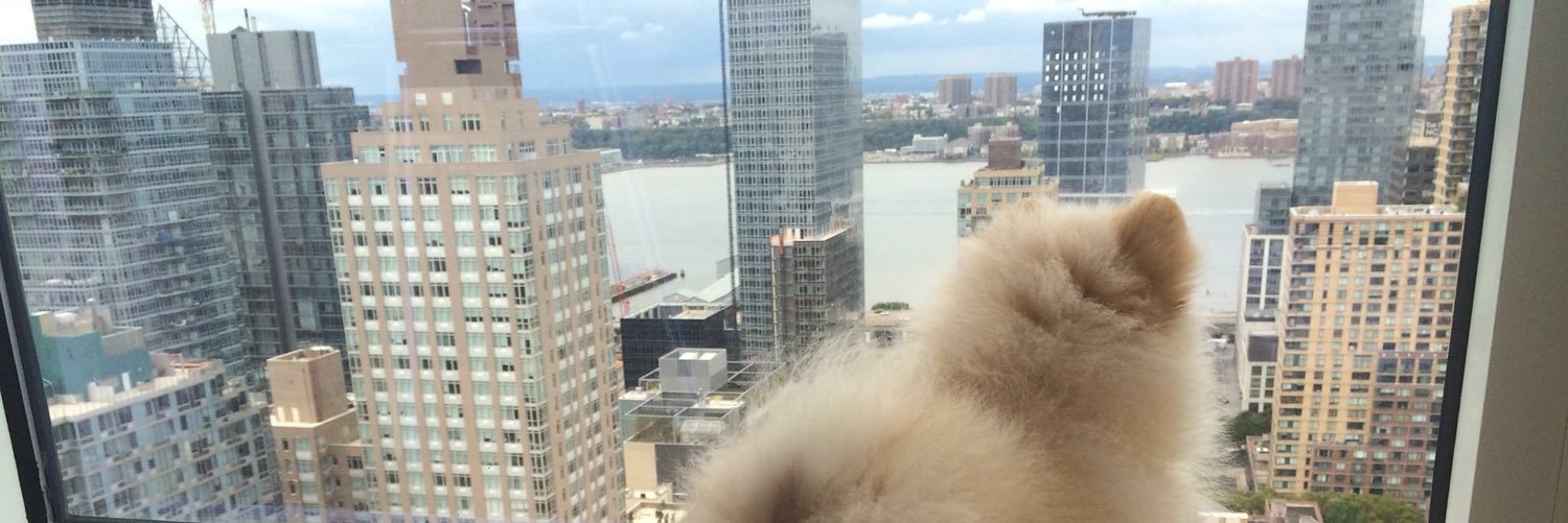 LiliInTheCity's profile banner image