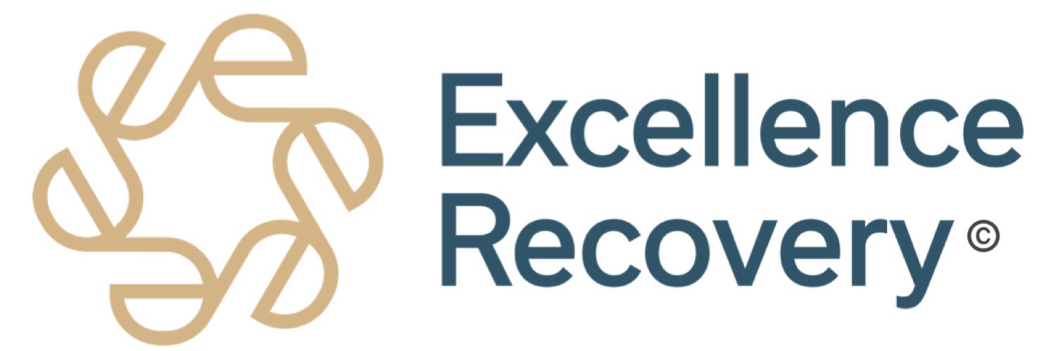 Mr. Excellence banner