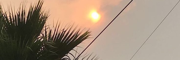 HananiDolphie's profile banner image