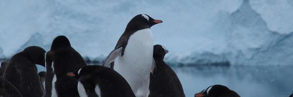evertbronkhorst Profile Banner