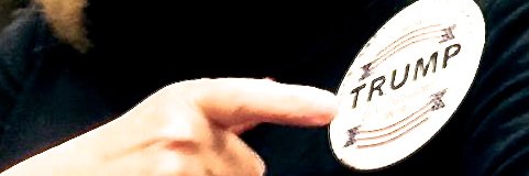Robin B. banner