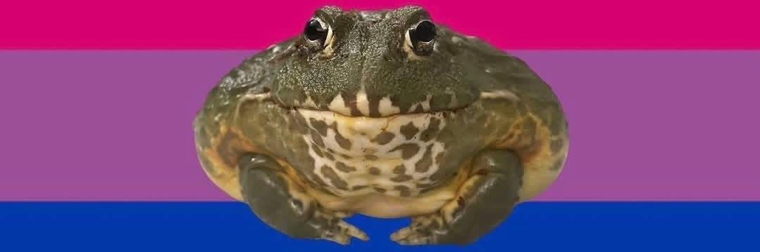 SenhorAlce's profile banner image