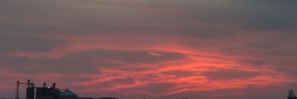 toryenclean Profile Banner