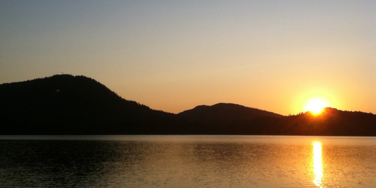 Connor Fitzgerald banner