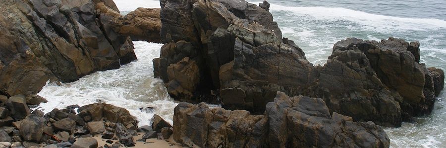 Samantha Grala banner