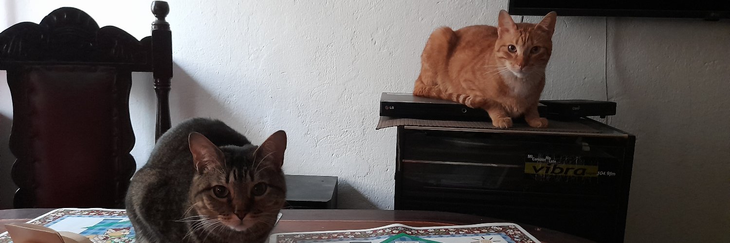 Paulalofriada lvs Wicked 🩷💚 banner