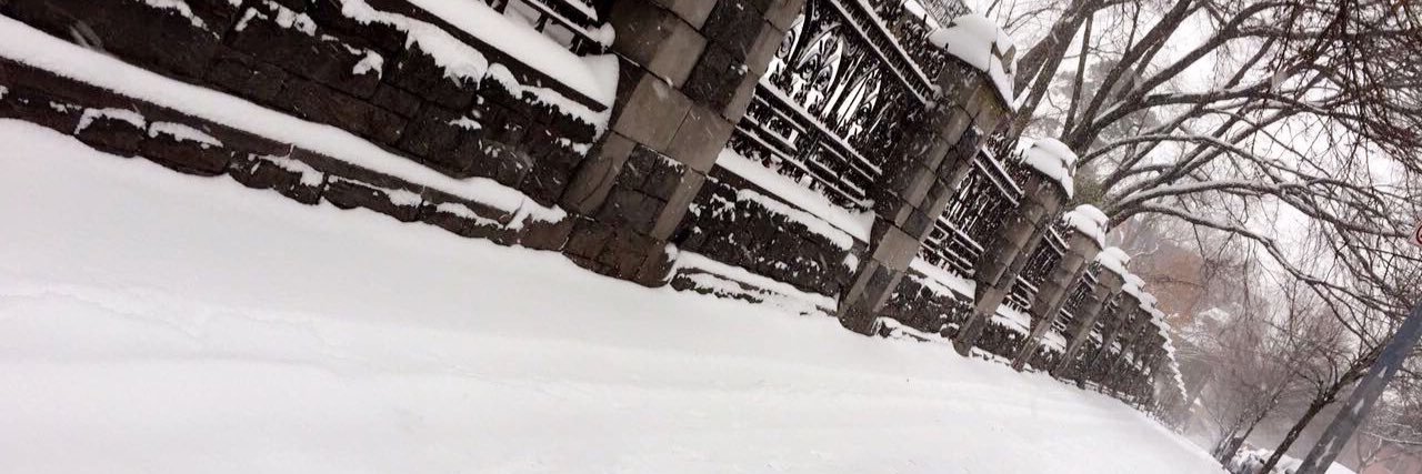 iPappis's profile banner image