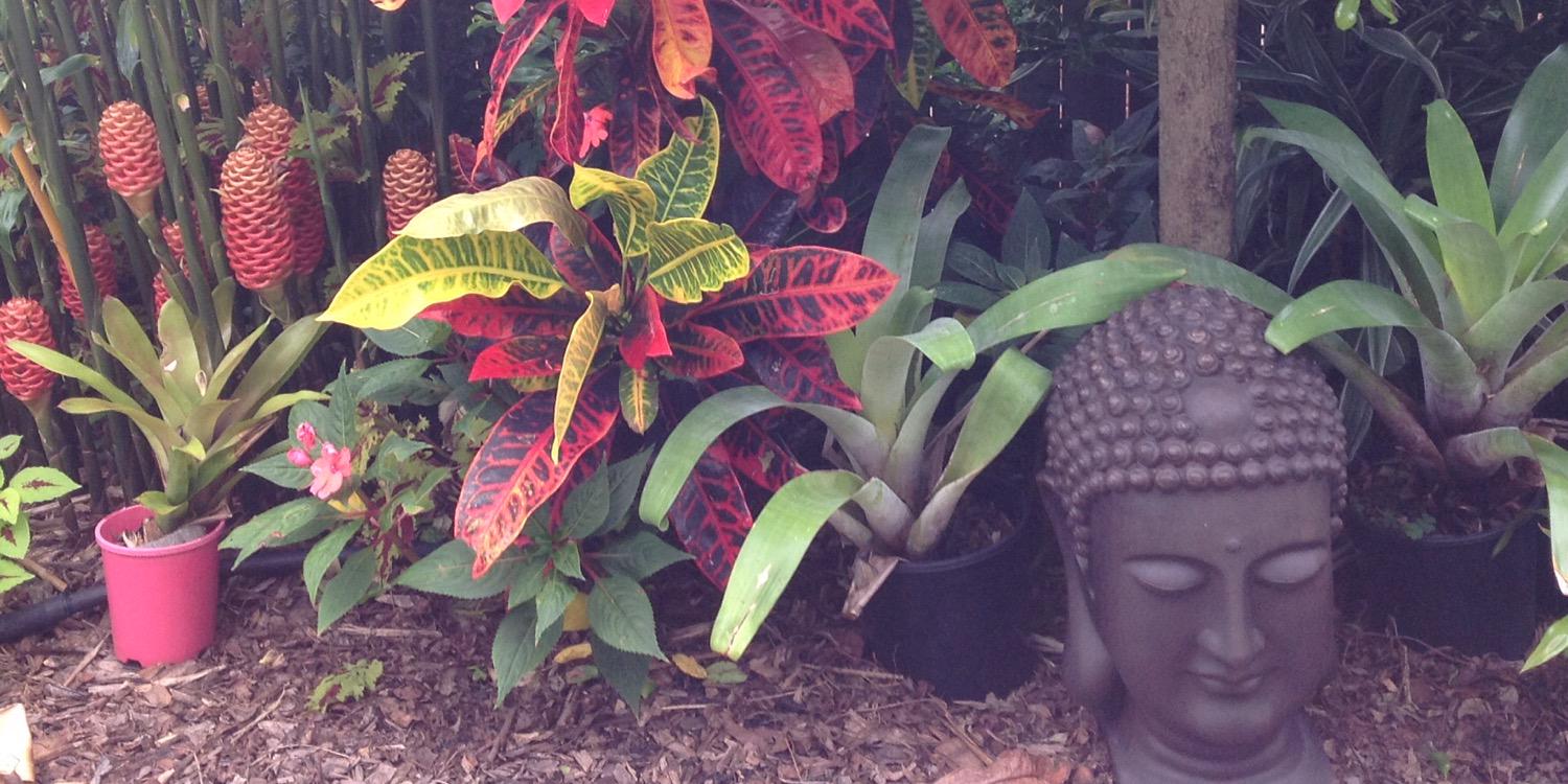 lainegaga's profile banner image