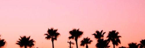 soumateusof's profile banner image