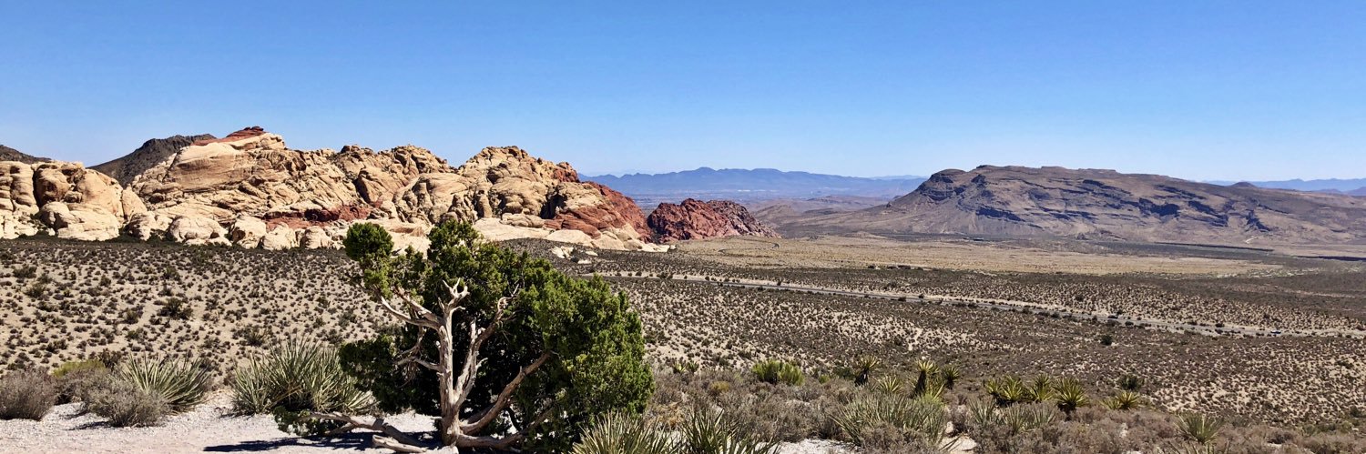 Michelle White banner