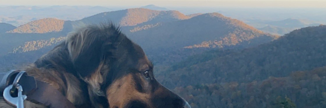 KellyAnneHolly's profile banner image