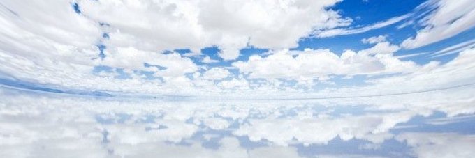 Ringoringo1123's profile banner image