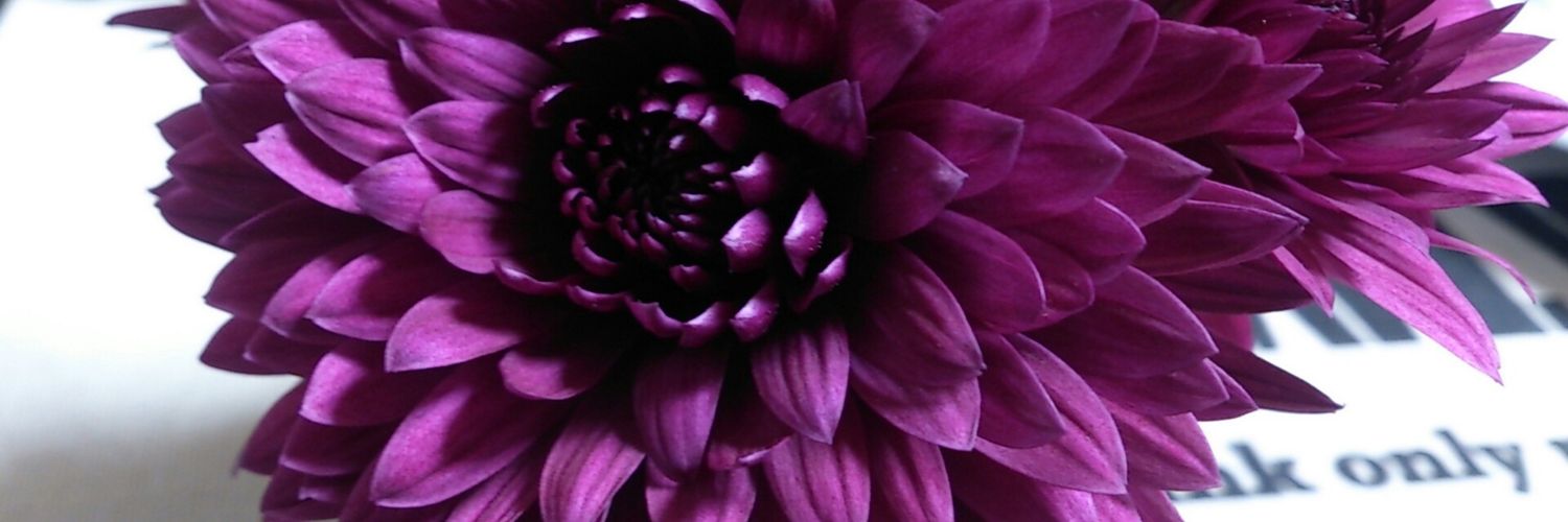 ssokic's profile banner image