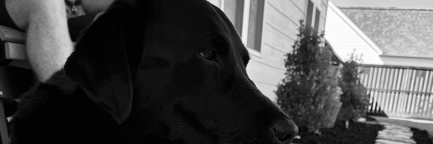 tenaciousdex's profile banner image