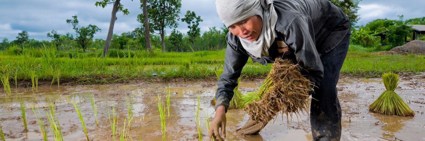humanitasglobal's profile banner image