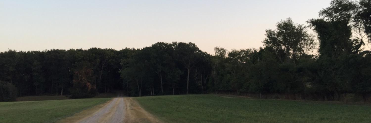 biancaxjoaquin's profile banner image